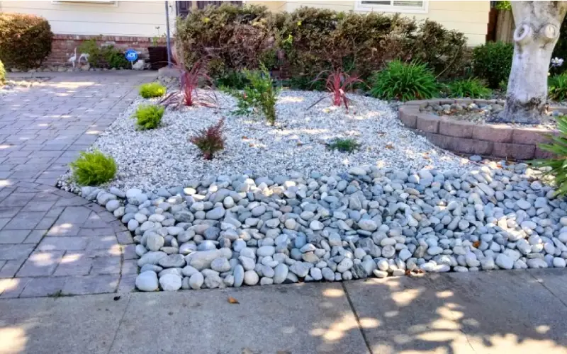 Landscaping Company Near me landscaping near me t (4)