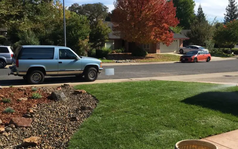 Landscaping Company Near me landscaping near me t (41)