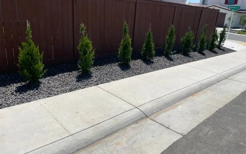 Landscaping Company Near me landscaping near me t (48)