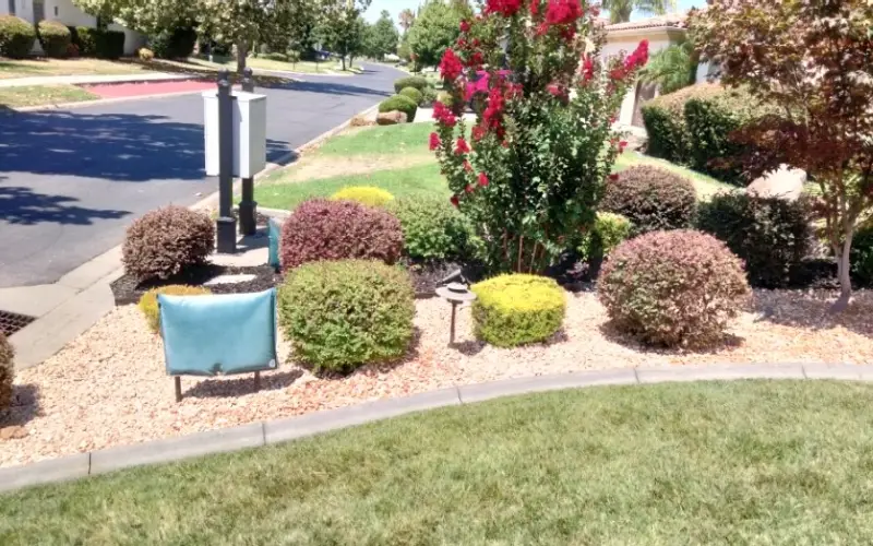 Landscaping Company Near me landscaping near me t