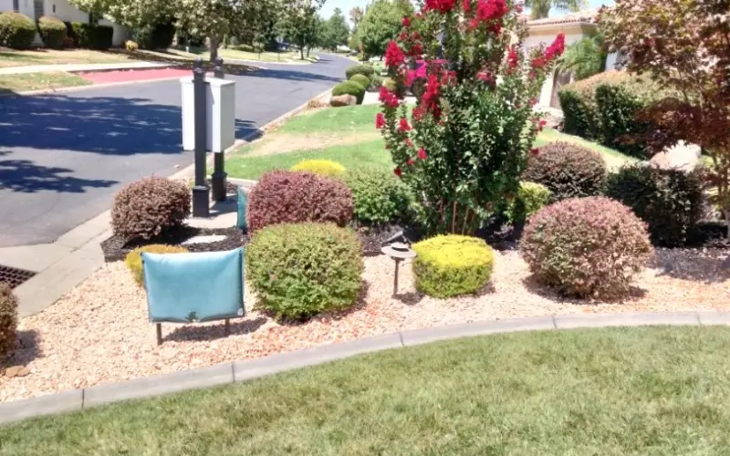 Landscaping Company Near me landscaping near me tree service near me landscapers near me lawn care near me lawn service near me lawn care services (7)